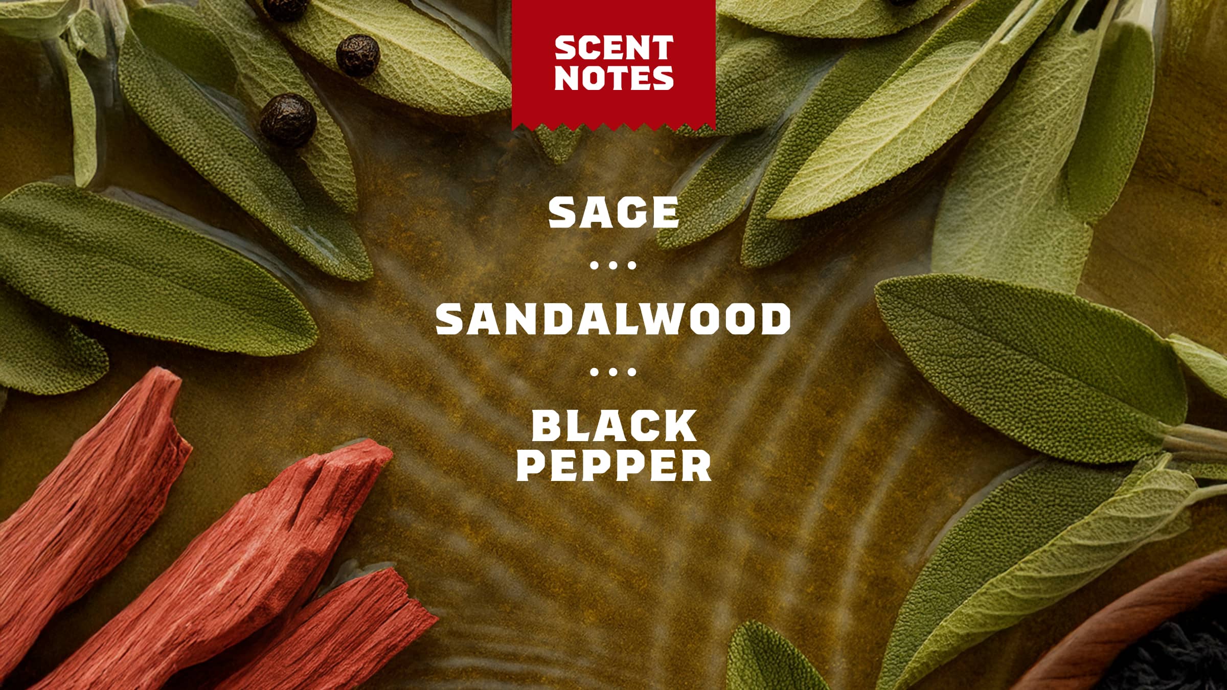 Dr. Squatch Soap 14 oz Sandalwood Summit Body Wash - Image 4