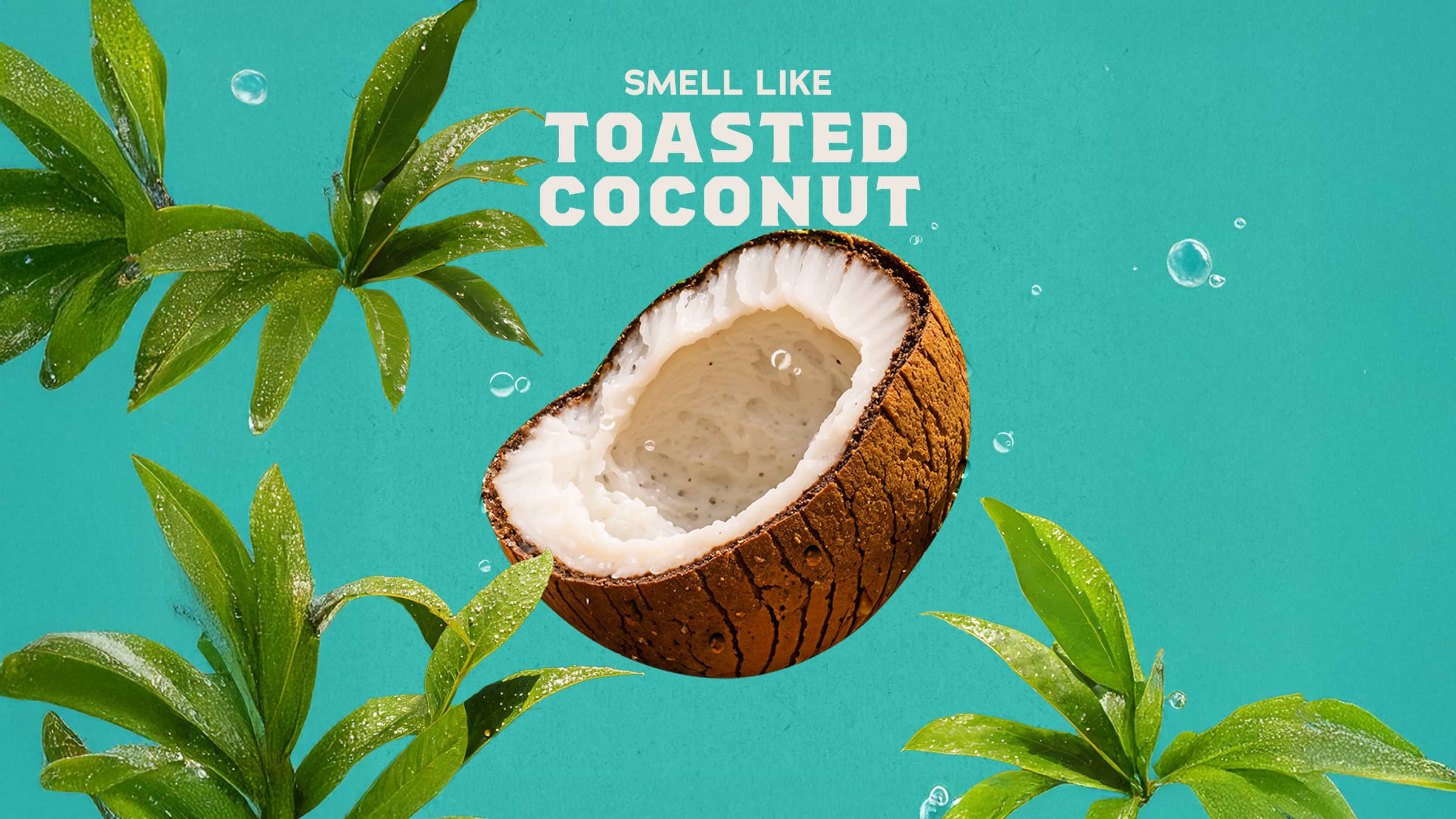 Dr. Squatch Soap Coconut Castaway Refreshing Face Wash - Image 3