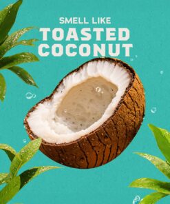 Alternative view of Dr. Squatch Soap Coconut Castaway Invisible Glide Deodorant