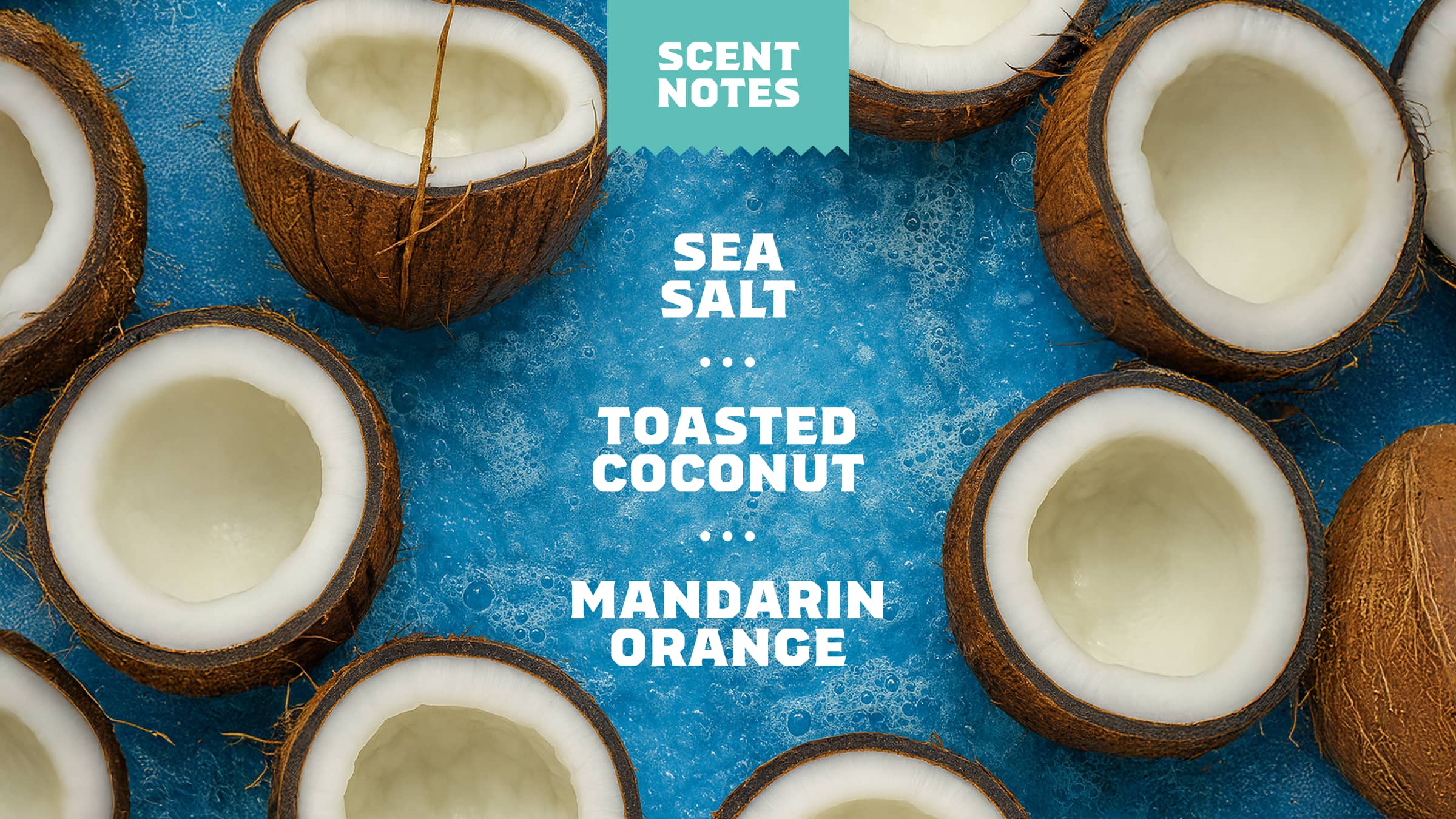 Dr. Squatch Soap Coconut Castaway Refreshing Face Wash - Image 4